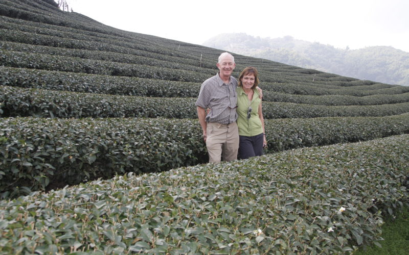 Checking out the Tea Fields